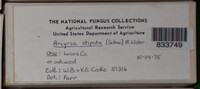 Image Associated With the Occurence